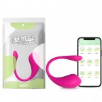 Vibrator with App – The Insider – Rose