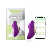 Panty Vibrator with App – Panty Vibe – Purple