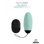 Clara Morgane My Vibrating Secret Egg Turquoise Clara Morgane My Vibrating Secret Egg Turquoise