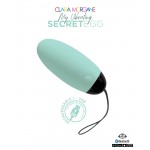 Clara Morgane My Vibrating Secret Egg Turquoise Clara Morgane My Vibrating Secret Egg Turquoise
