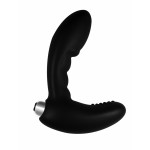 Lola Games- Prostate stimulator with vibration Wonder Touch