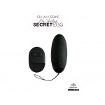 Clara Morgane- My Vibrating Secret EGG Black – App controlled Clara Morgane- My Vibrating Secret EGG Black – App controlled