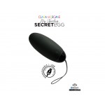 Clara Morgane- My Vibrating Secret EGG Black – App controlled Clara Morgane- My Vibrating Secret EGG Black – App controlled