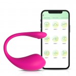 Vibrator with App – The Insider – Rose