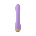 Lilac rechargeable keny vibrator