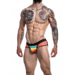 C4M- Mixed Jockstrap Rainbow