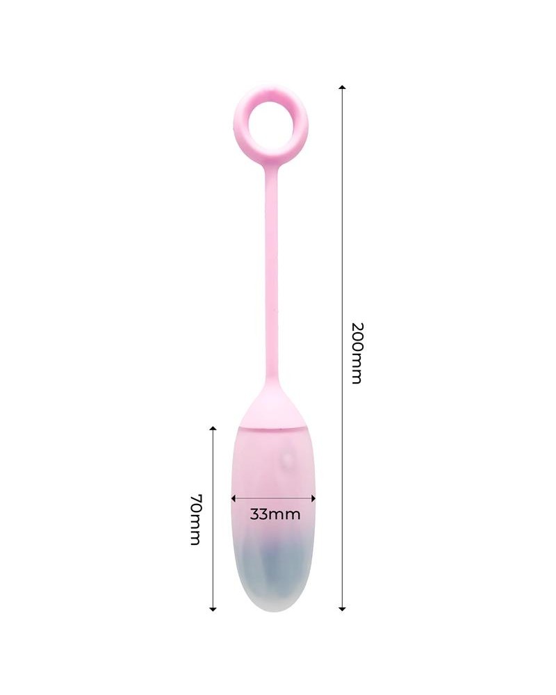 Vibrating Egg with APP Double Layer Silicone Blue/Purple