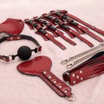 Ophelia's Dream Toys - Bondage set box red
