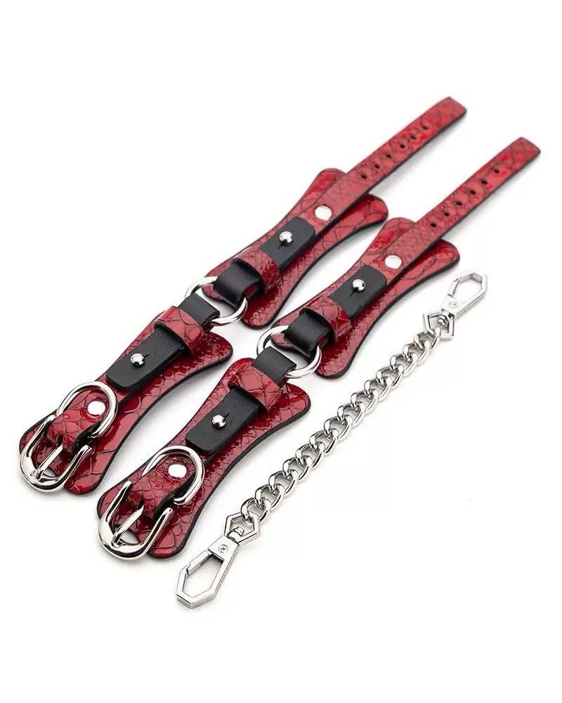Ophelia's Dream Toys - Bondage set box red