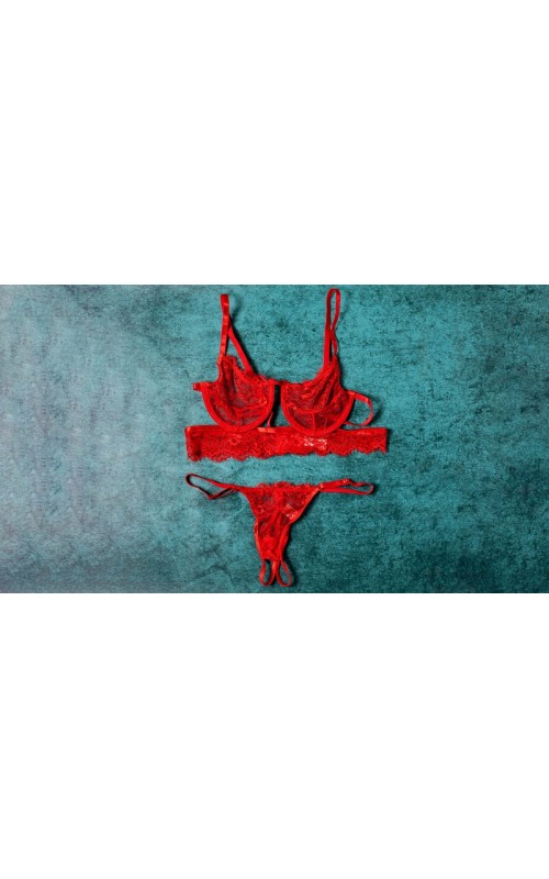 Ophelia's Dream Lingerie - Red Lace Set Open Crotch