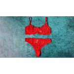 Ophelia's Dream Lingerie - Red lace set