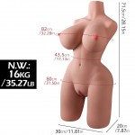 Ophelia's Dream Toys- Realistic Silicone Female Torso