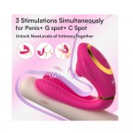 Ophelia's Dream Toys- App controlled couple toy pink