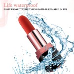 Ophelia's Dream Toys - Vibrating Lipstick - Black Ophelia's Dream Toys - Vibrating Lipstick - Black