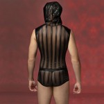 Ophelia's Dream Lingerie- Sheer and wetlook top with hood and shorts
