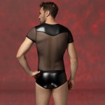 Ophelia's Dream Lingerie- Mesh top and wetlook shorts