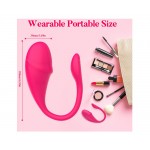 Ophelia's Dream Toys- App remote control vibrator