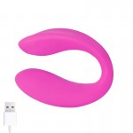 Roomie Couples Vibrator Liquid Silicone Unibody Remote Control USB	
