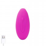 Roomie Couples Vibrator Liquid Silicone Unibody Remote Control USB	