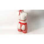Ophelia's Dream Lingerie - Fishnet set bra-crotchless shorts red