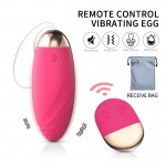 Ophelia's Dream Toys- Remote Control Vibrating Egg - Fuksia