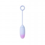 Vibrating Egg with APP Double Layer Silicone Pink/Blue	