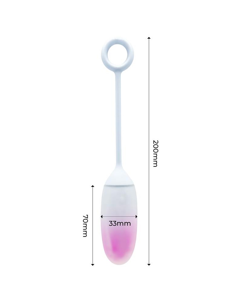 Vibrating Egg with APP Double Layer Silicone Pink/Blue	
