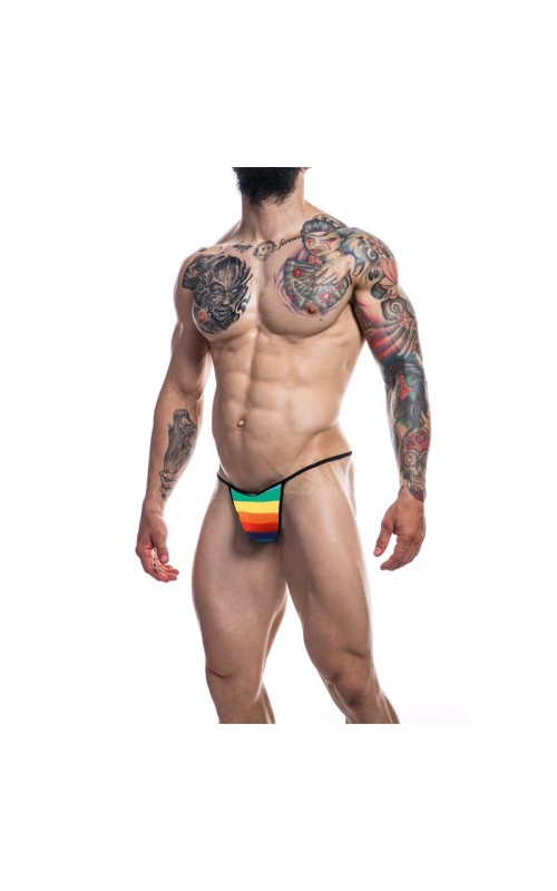 C4M12 Briefkini Rainbow