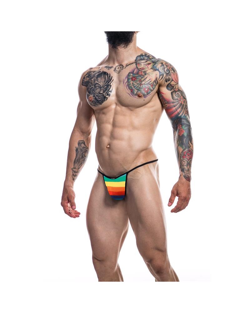 C4M12 Briefkini Rainbow