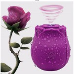 Ophelia's Dream Toys- Happy Meeting - Κλειτοριδικός Δονητής Μωβ Ophelia's Dream Toys- Happy Meeting - Κλειτοριδικός Δονητής Μωβ