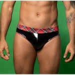 Ophelia's Dream Lingerie - Wet look jockstrap