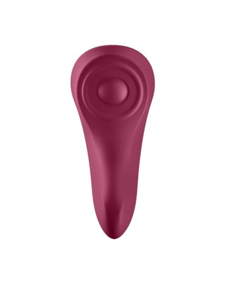 Satisfyer Sexy Secret Panty Vibrator App Controlled